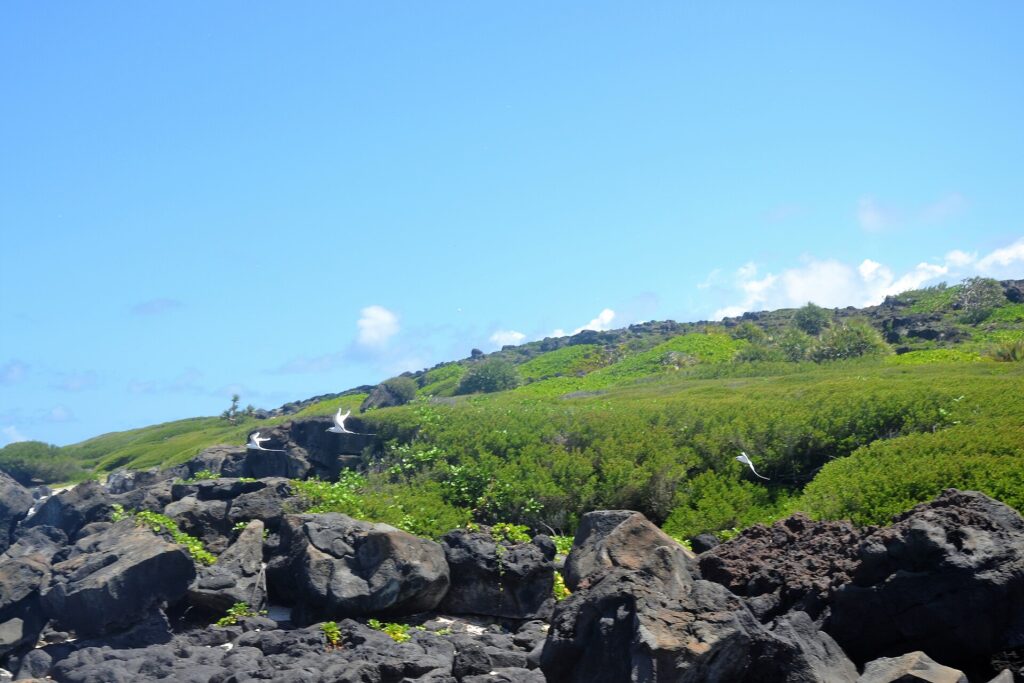 Ilot Gabriel, Mauritius