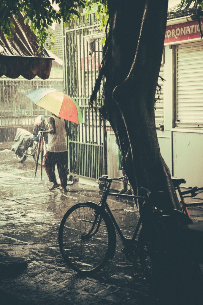 Port Louis Central Market, Mauritius