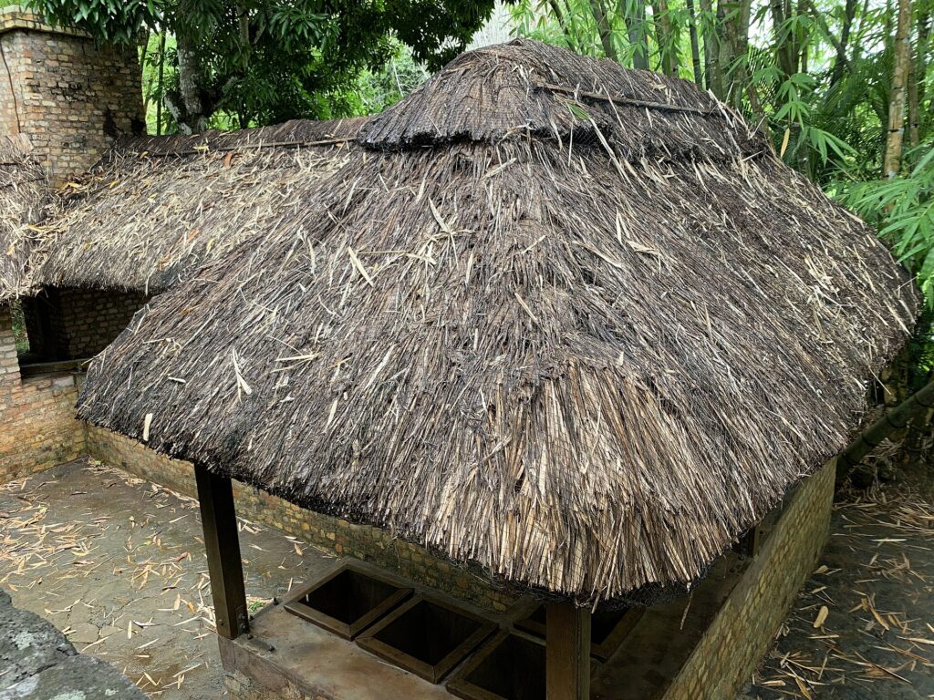 Sir Seewoosagur Ramgoolam Botanical Garden, Mauritius