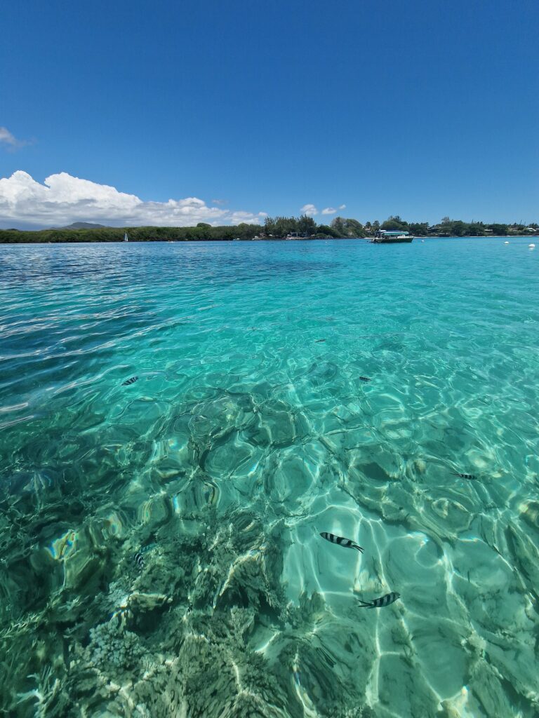 Snorkeling at Blue Bay Marine Park, Mauritius